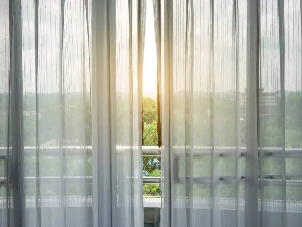 echeveria sheer curtain window