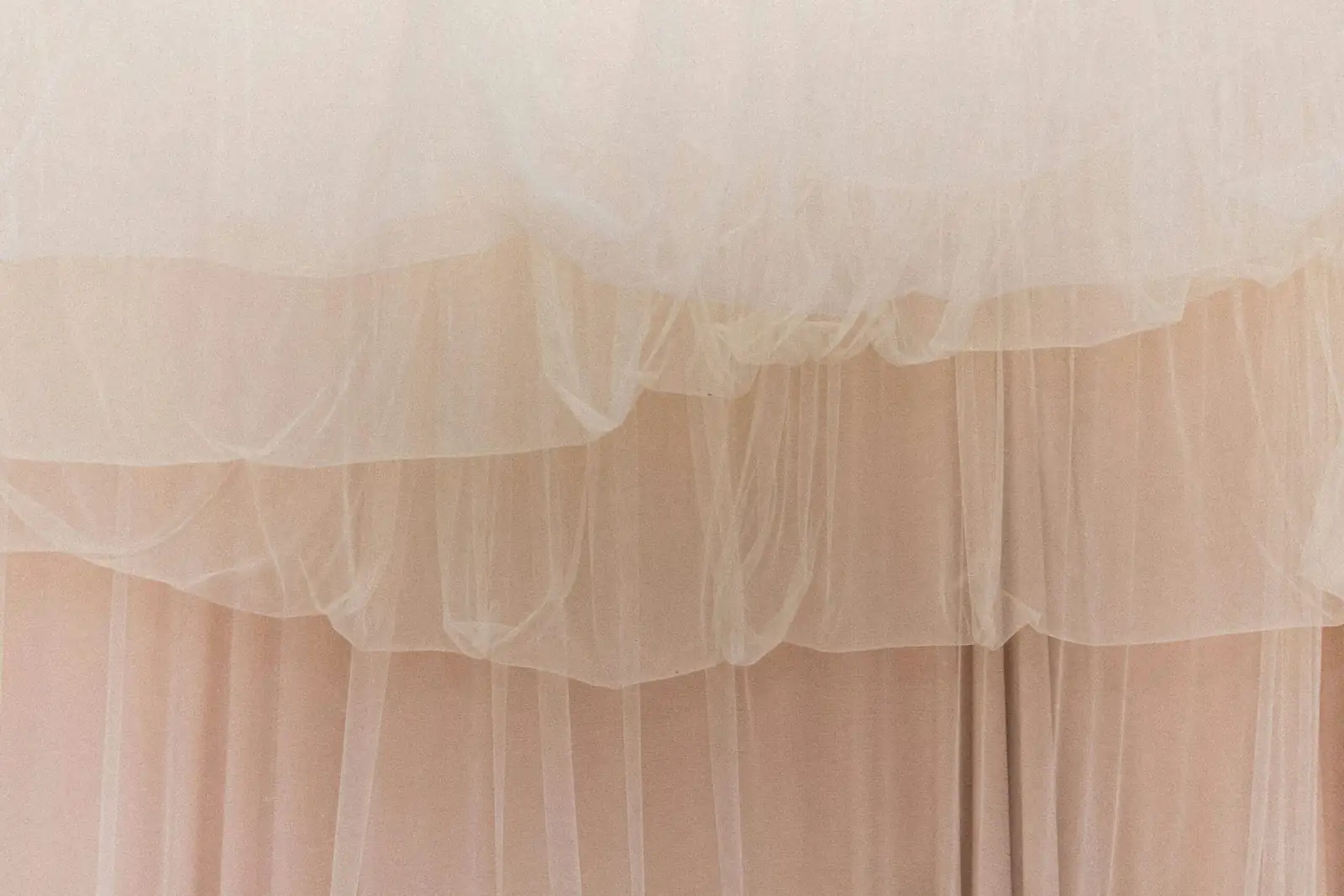 Echeveria south window sheer curtain