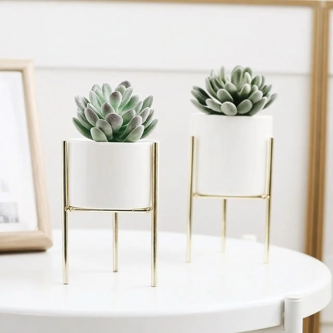 echeveria minimalist grey pots