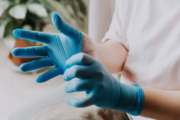 Euphorbia mammillaris pruning gloves latex sap
