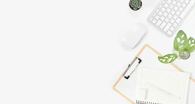 fittonia on minimalist desk