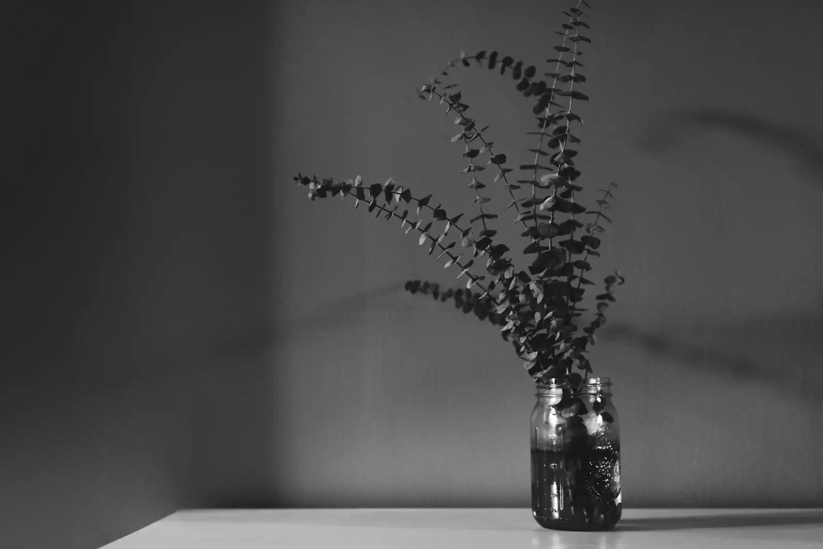 variegated asiatic jasmine hydroponic glass jar roots
