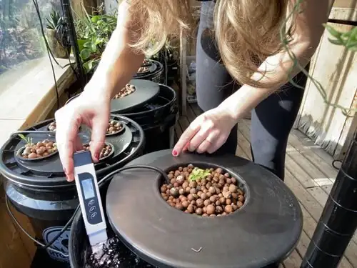 asiatic jasmine hydroponic EC meter
