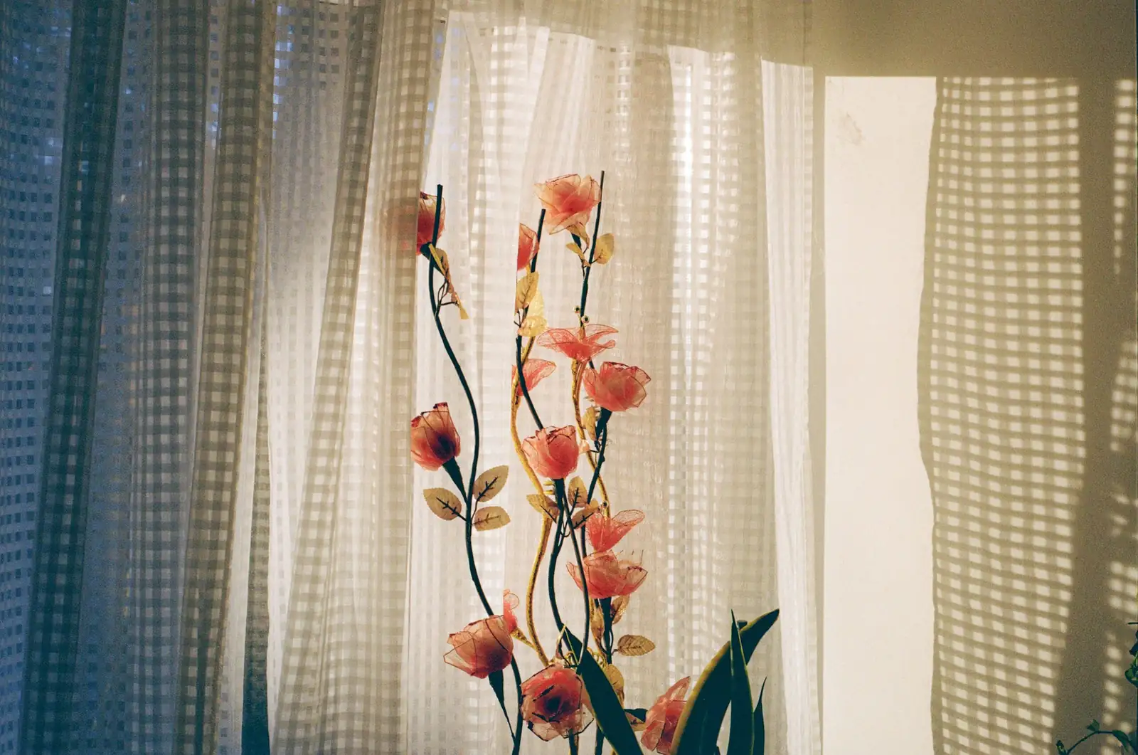 lucky bean plant window sheer curtain