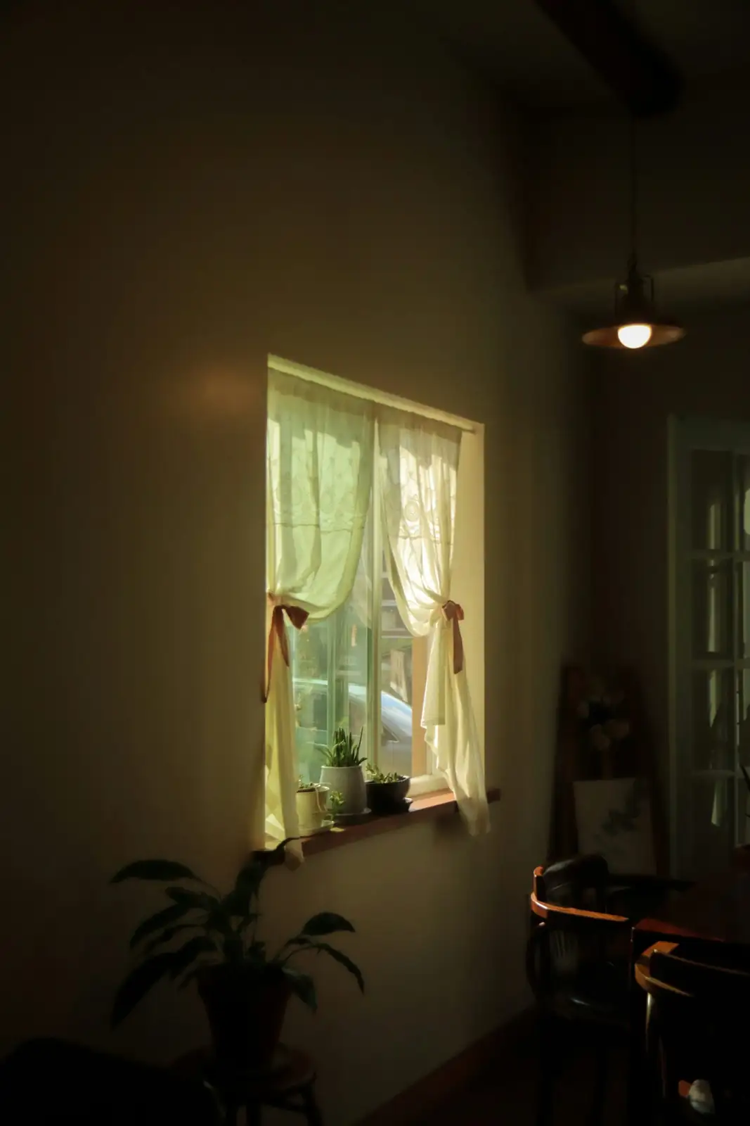 Australian chestnut indoor window light
