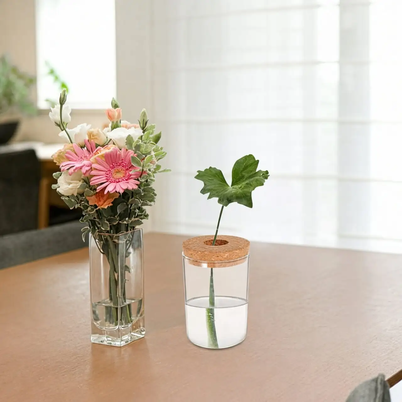 Castanospermum australe hydroponic glass jar