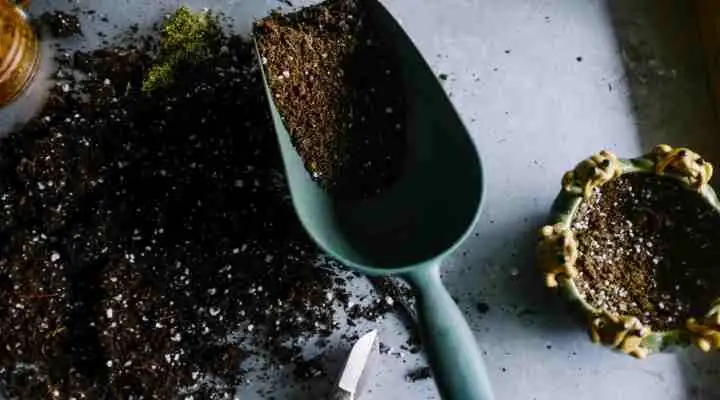aluminum plant soil mix perlite