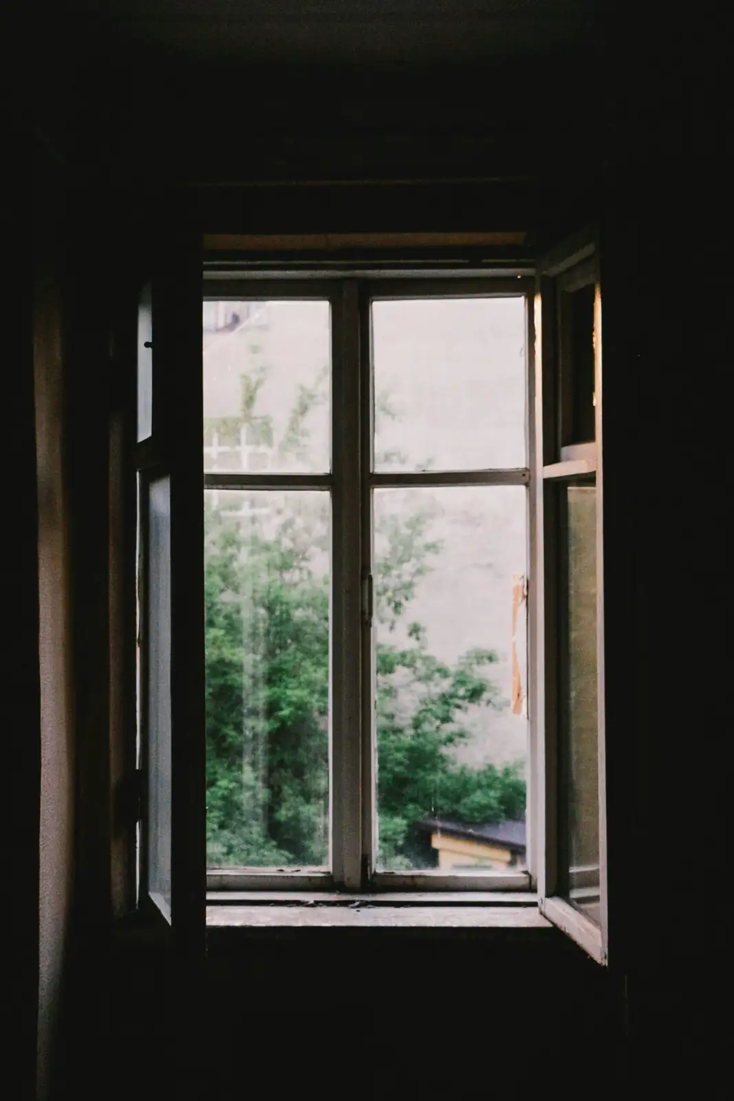 aluminum plant east window light