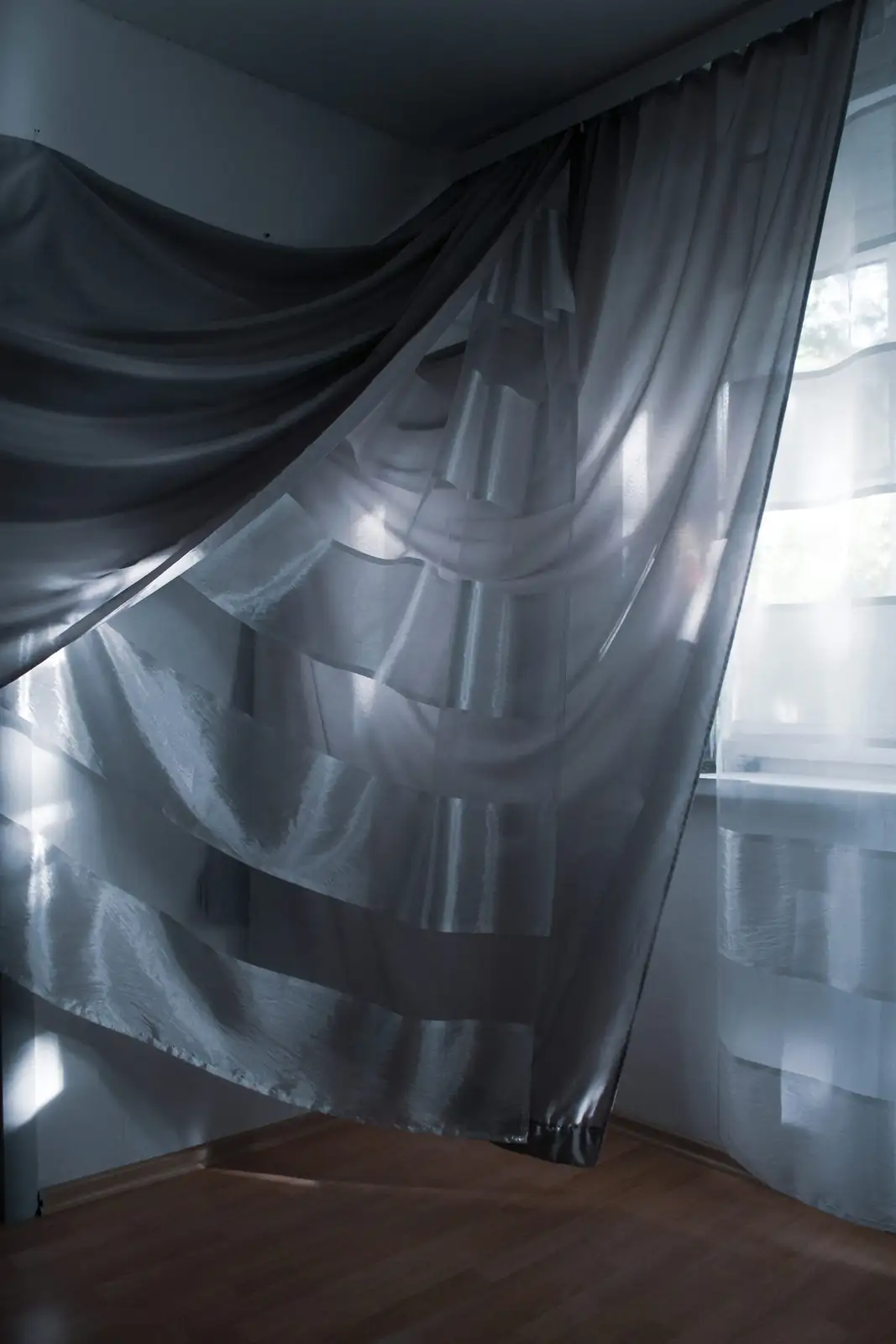 pilea cadierei indoor sheer curtain window