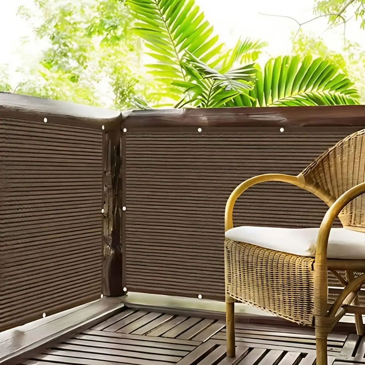 sasanqua camellia shade net balcony
