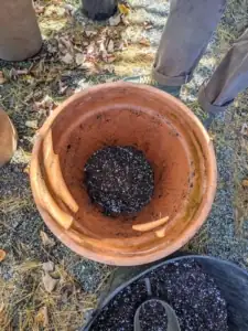 camellia sasanqua repotting soil mix