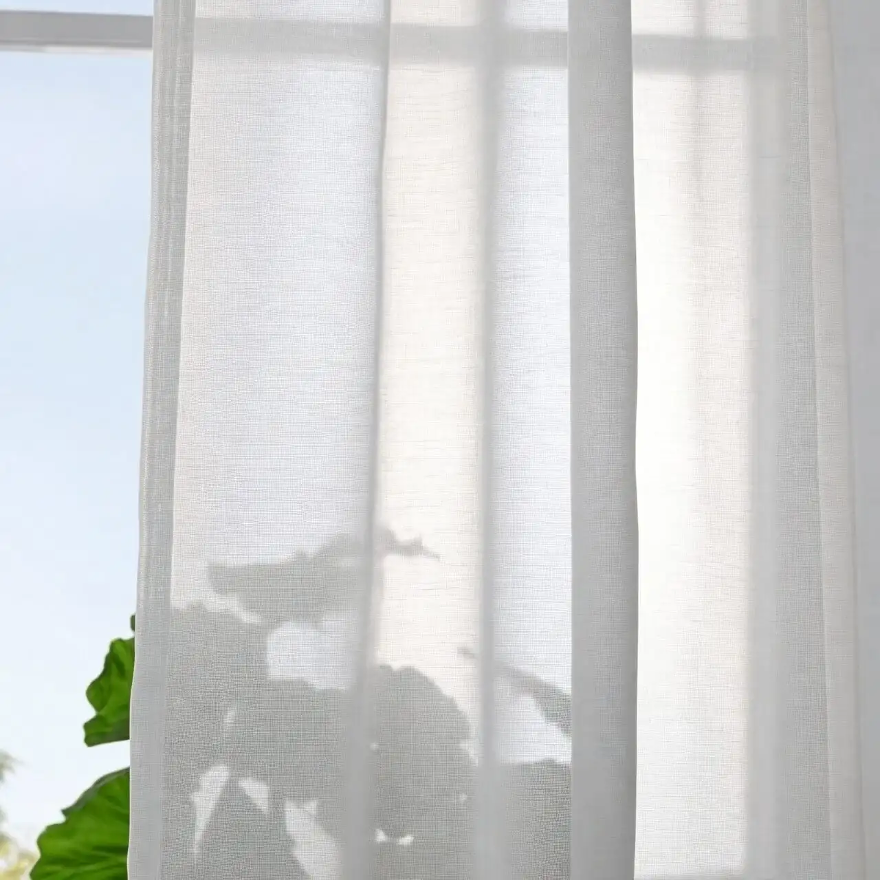 schefflera east window sheer curtains