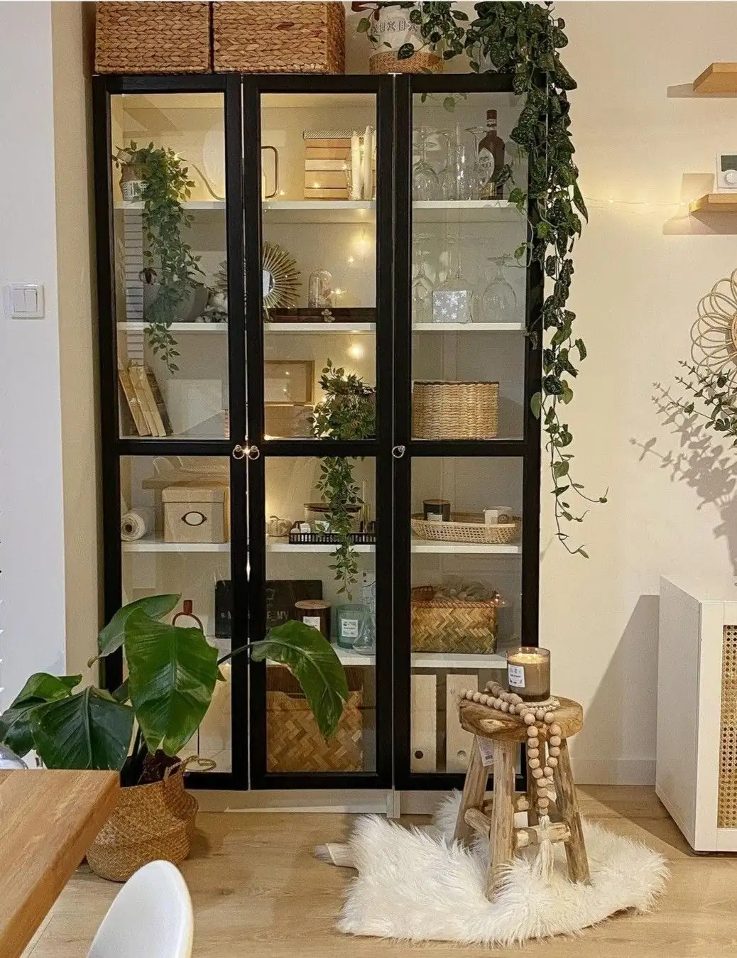 schefflera in glass cabinet living room