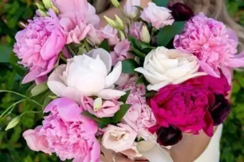 peony cut flower market bouquets