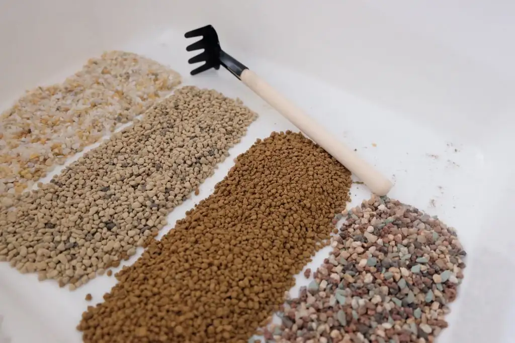 lithops gritty soil top dressing