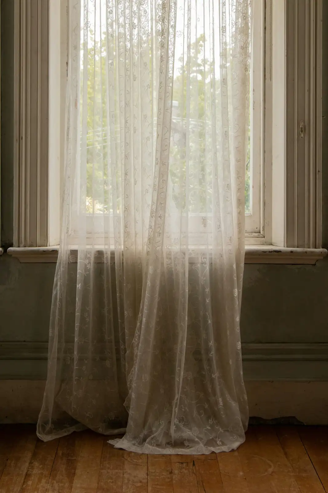 begonia on windowsill sheer curtain
