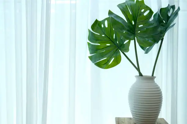 begonia pavonina window light sheer curtains