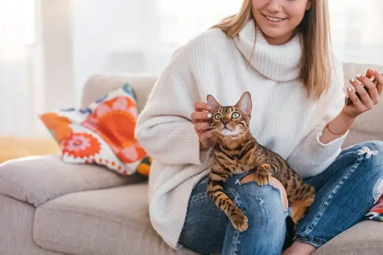 cat owner wiping cat mouth