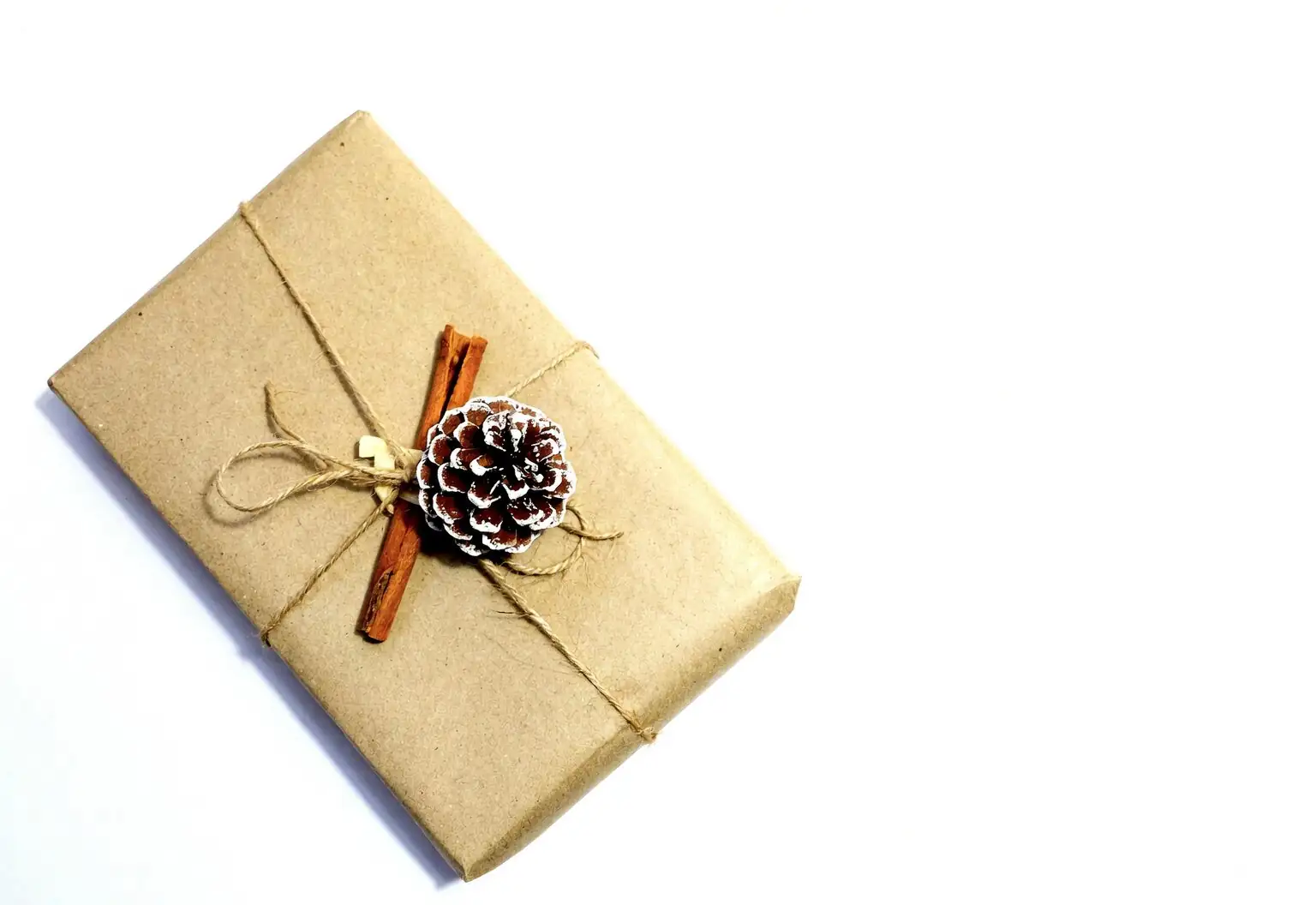 nemesia gift wrapped kraft paper