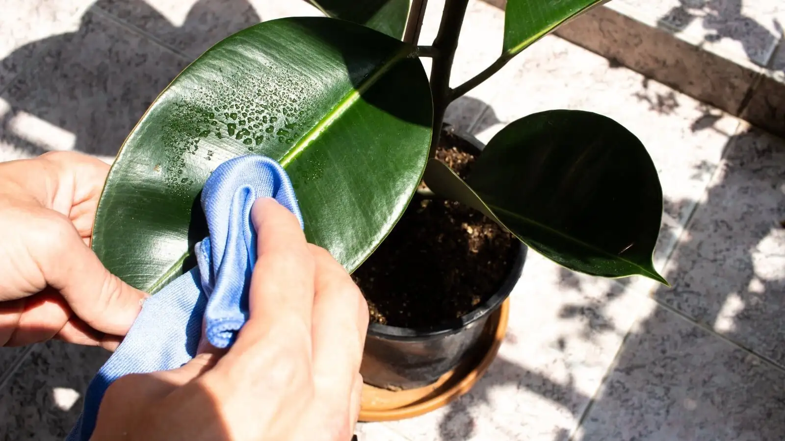 pink quill leaf cleaning cloth