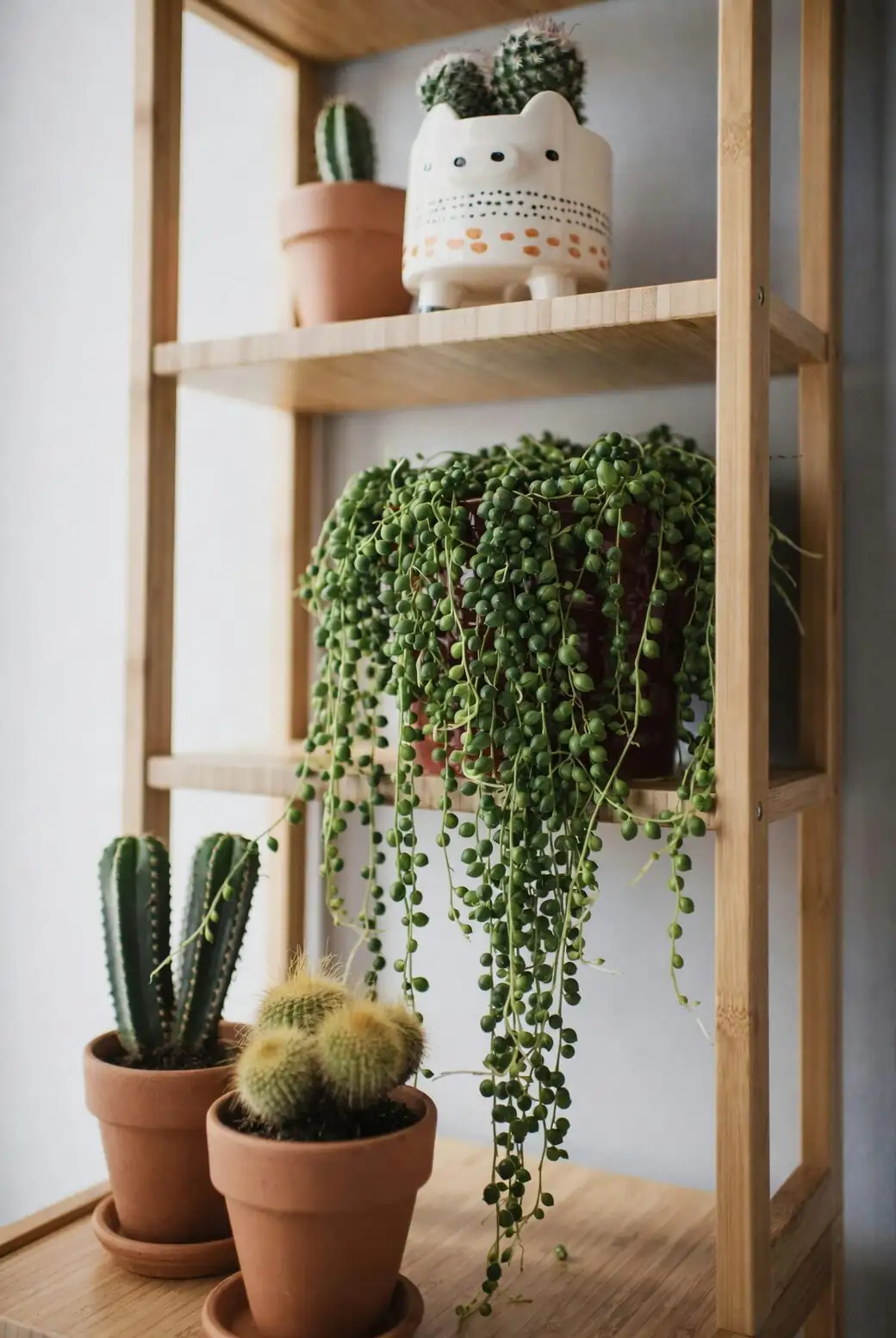 string of pearls living room shelf