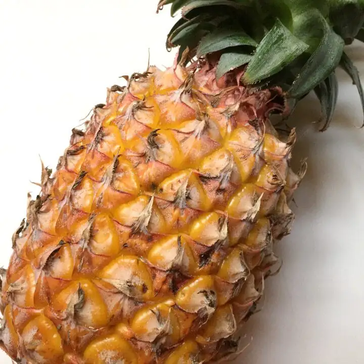 pineapple fruit spiral pattern close-up