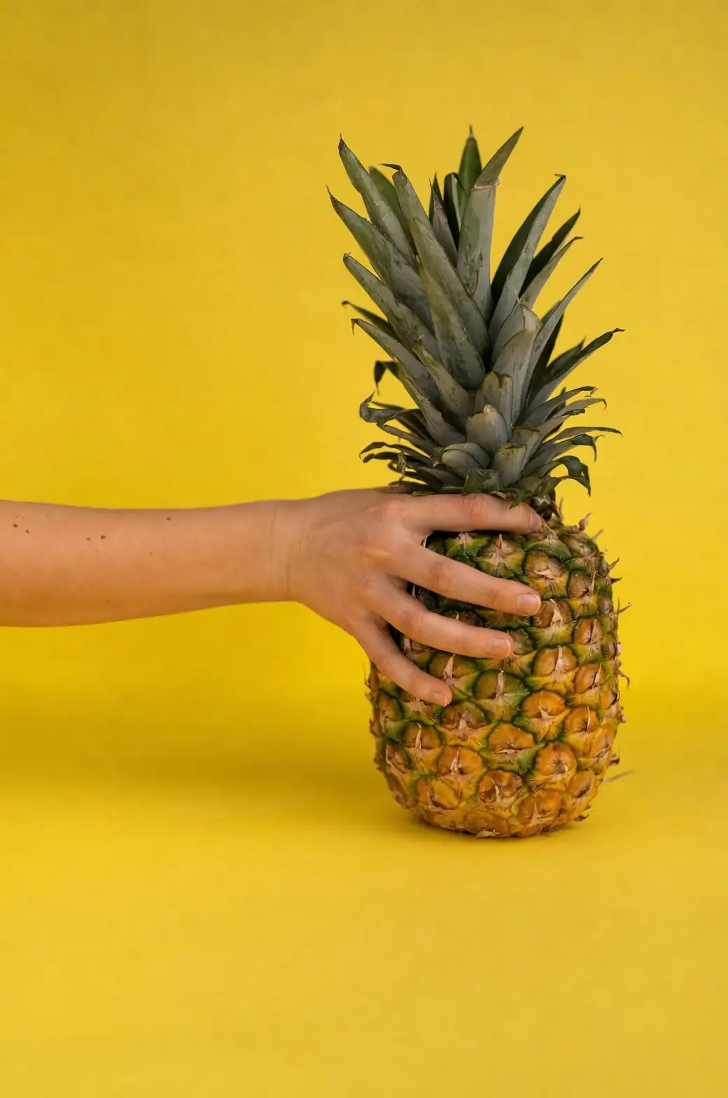 pineapple crown water rooting glass