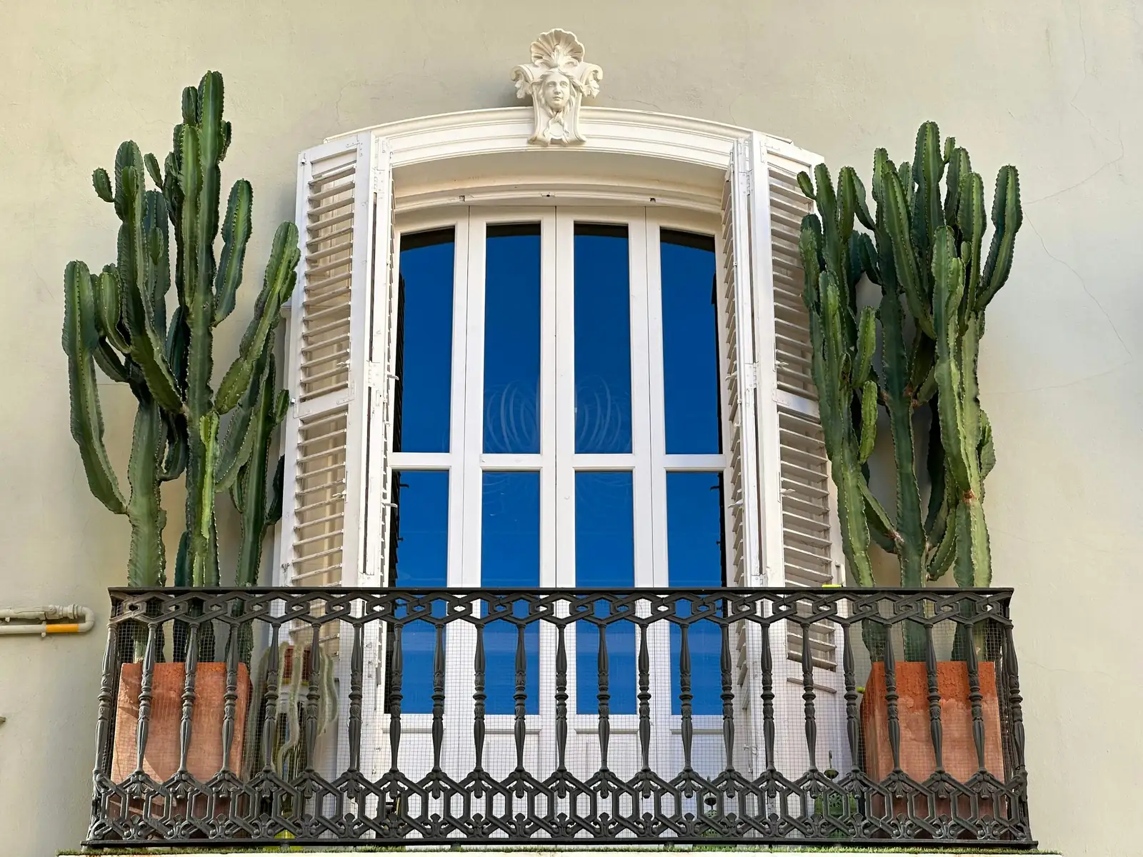 opuntia dillenii balcony thermometer