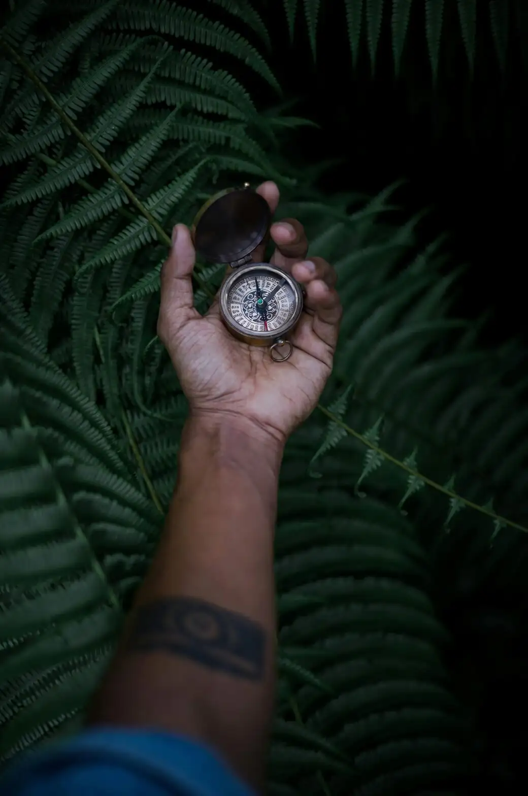 fern hand shadow test