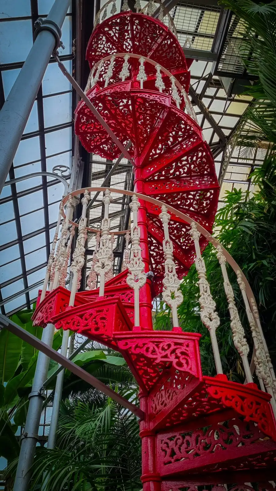 Victorian fern greenhouse interior