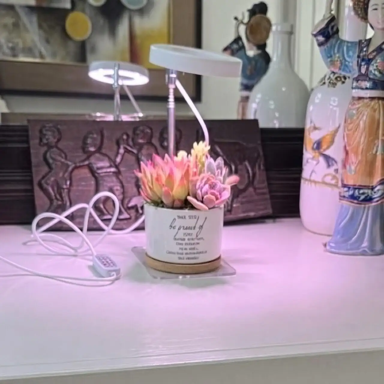 succulent gift on office desk