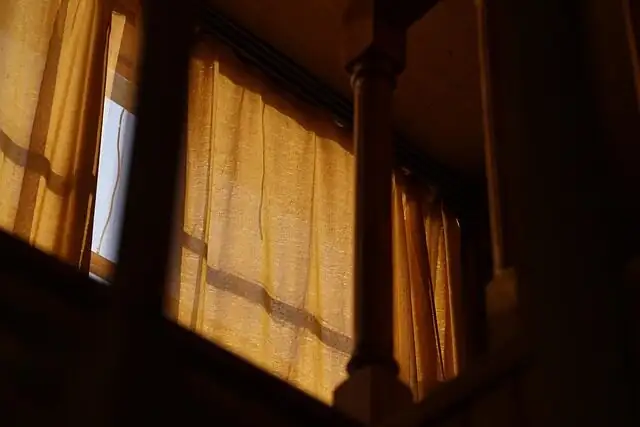 jerusalem cherry south window sunlight