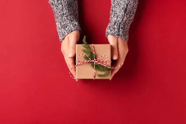 Jerusalem cherry gift wrapping hands