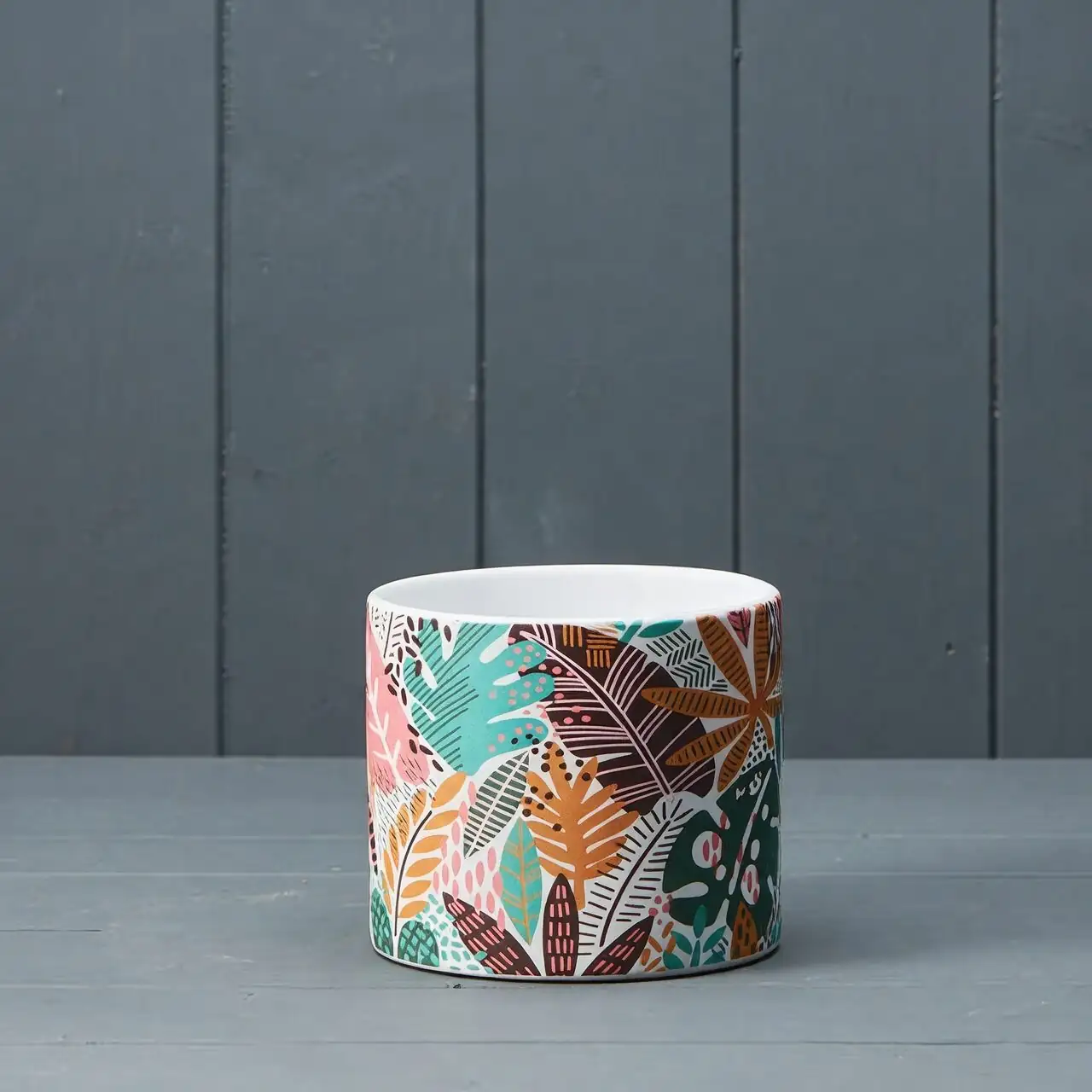 jerusalem cherry 12cm ceramic pot