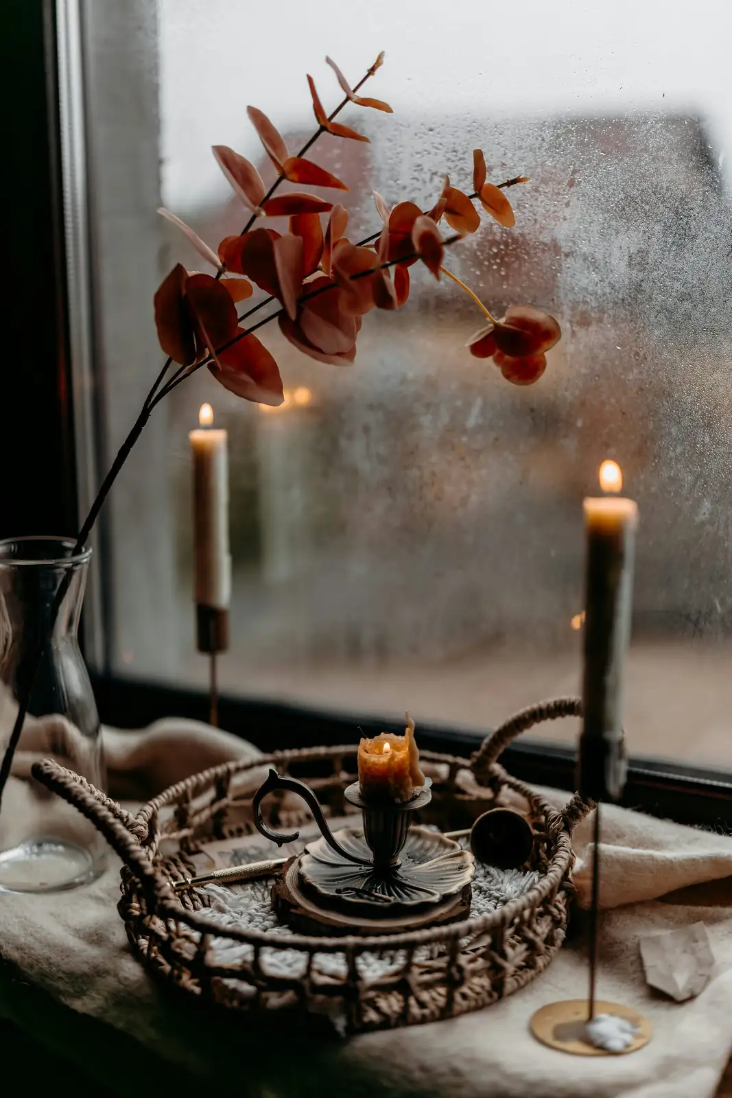jerusalem cherry cozy candle window