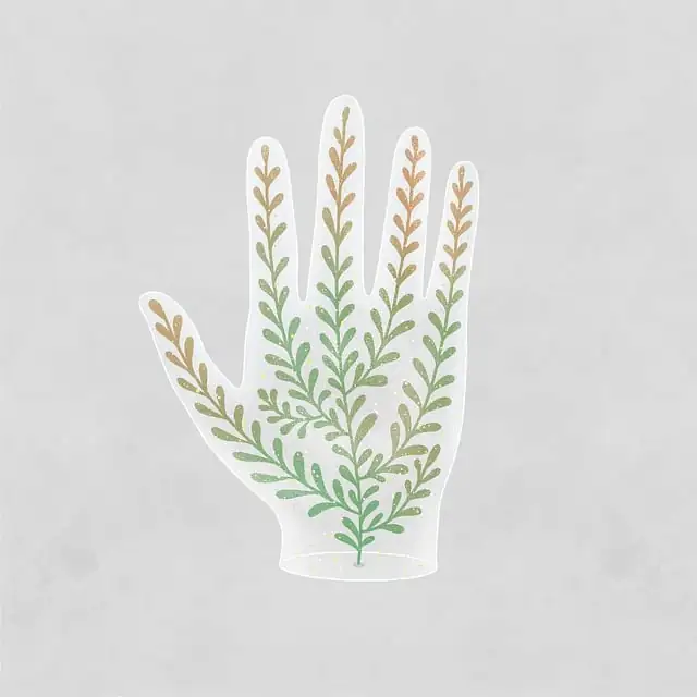 sago palm hand pollination brush