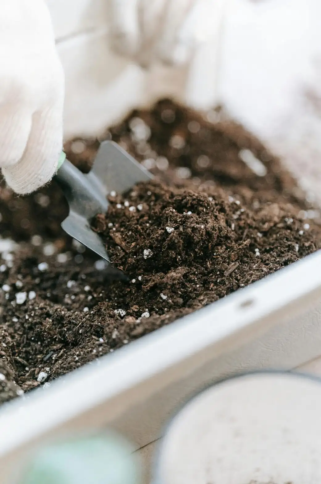 oxalis soil moisture check hand