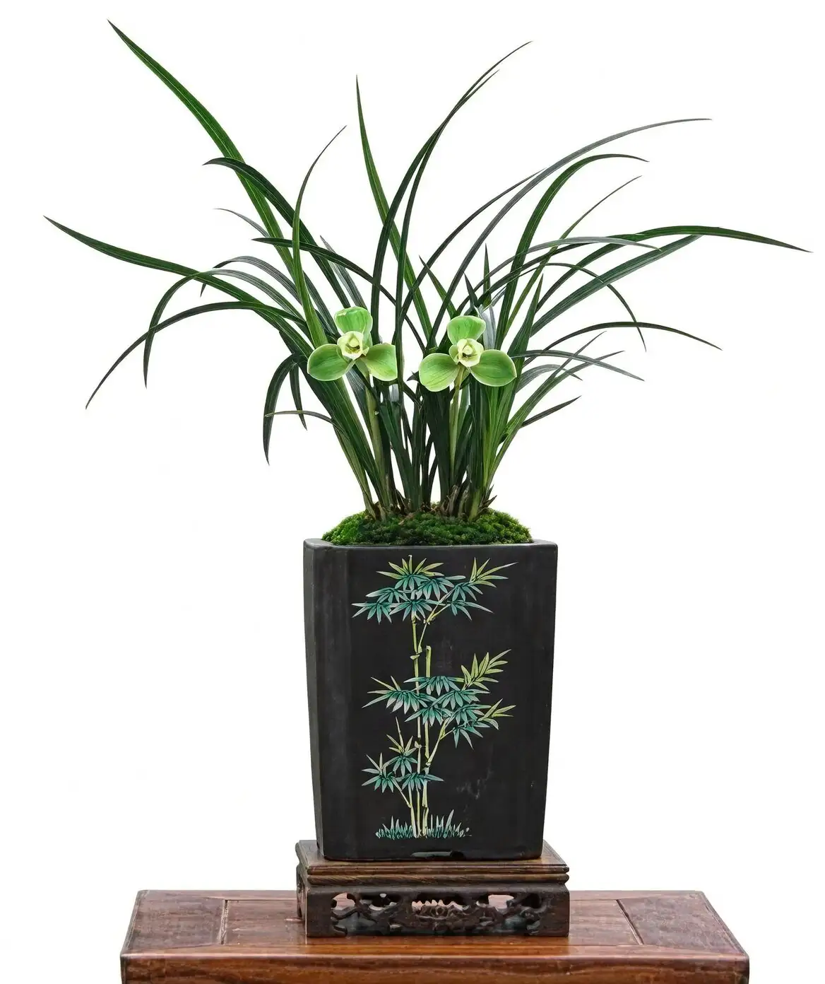 Cymbidium goeringii gentle airflow fan