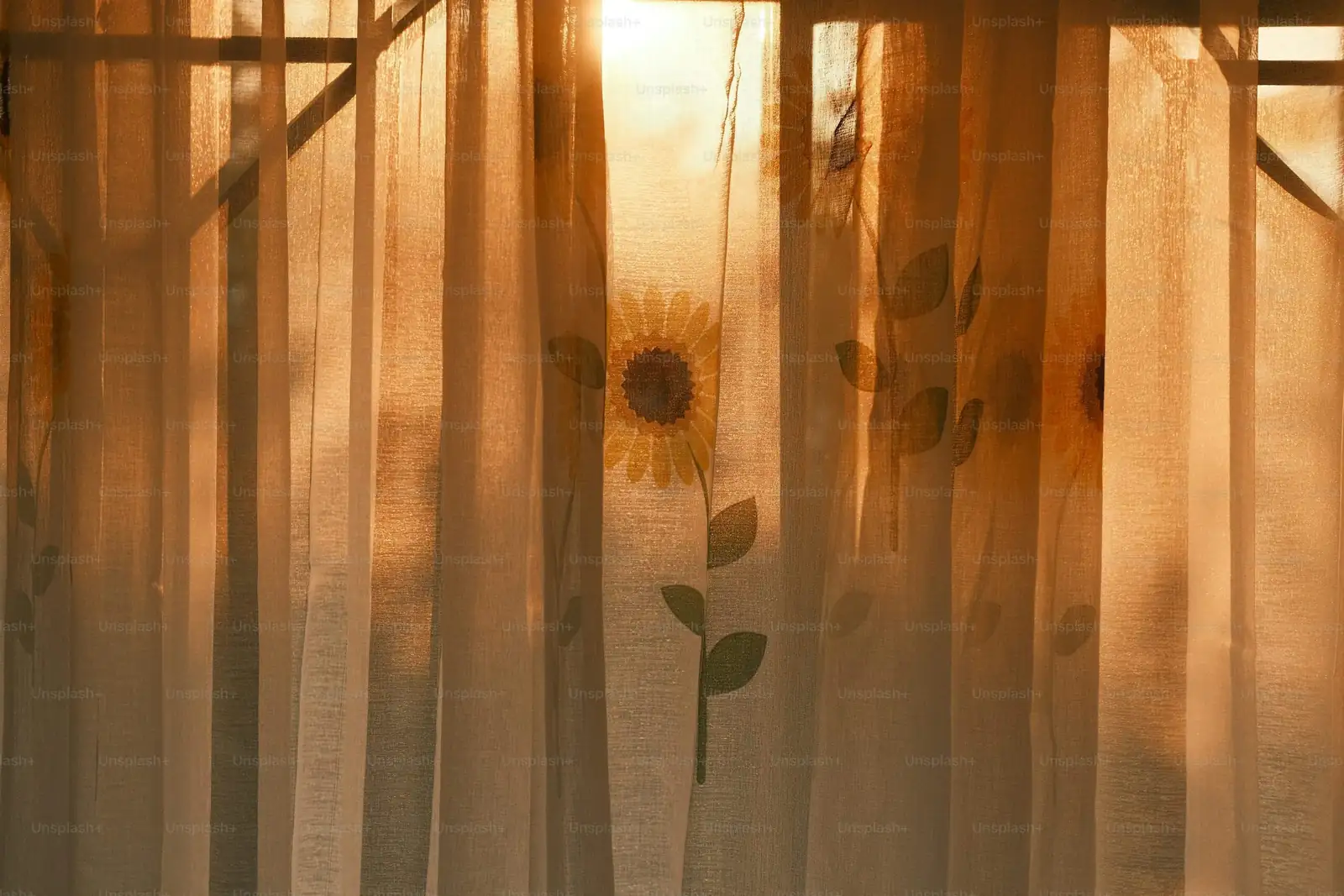 cineraria east windowsill sheer curtain