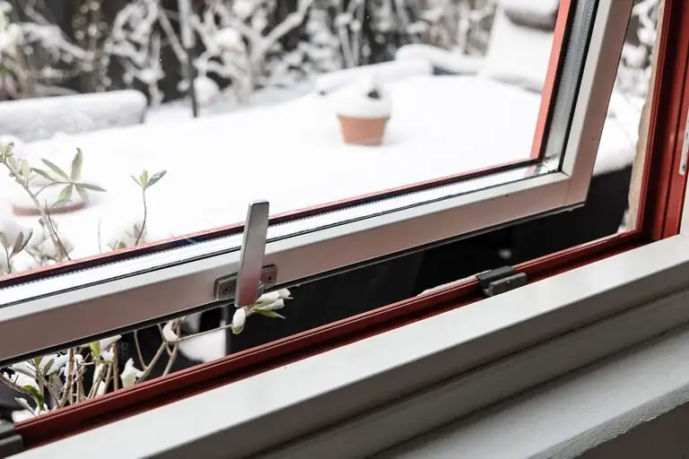 cineraria window slightly open night