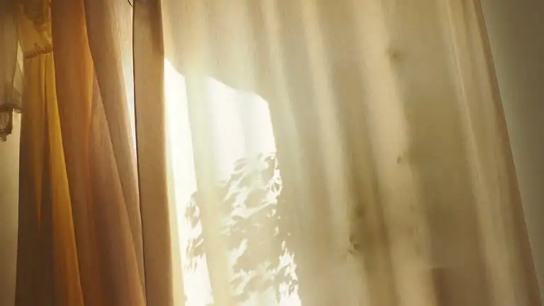 cineraria bright window sheer curtain