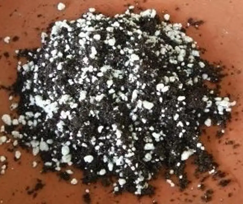 bromeliad potting mix bark perlite