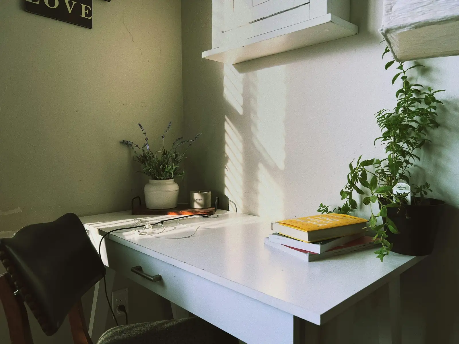 cape primrose study desk books