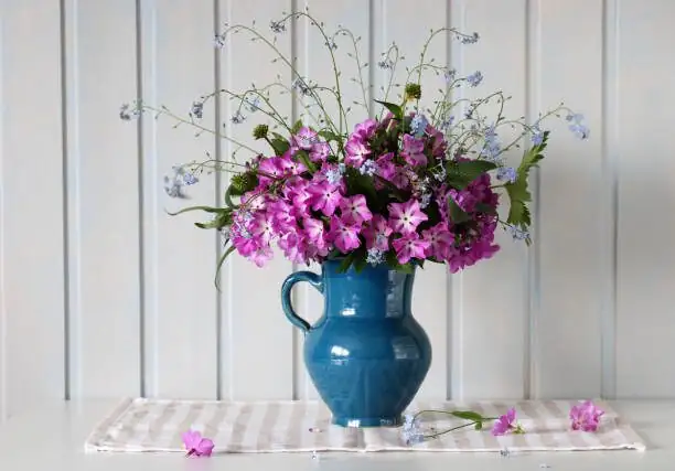 cape primrose matte white pots