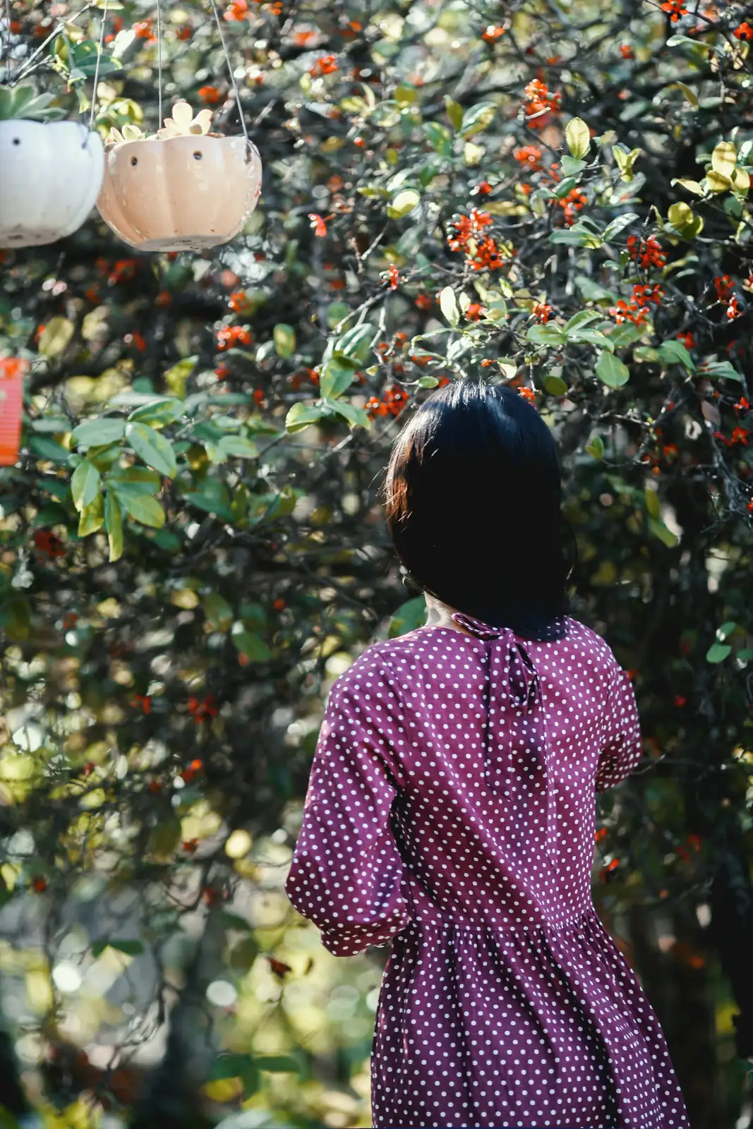 polka dot plant watering hands