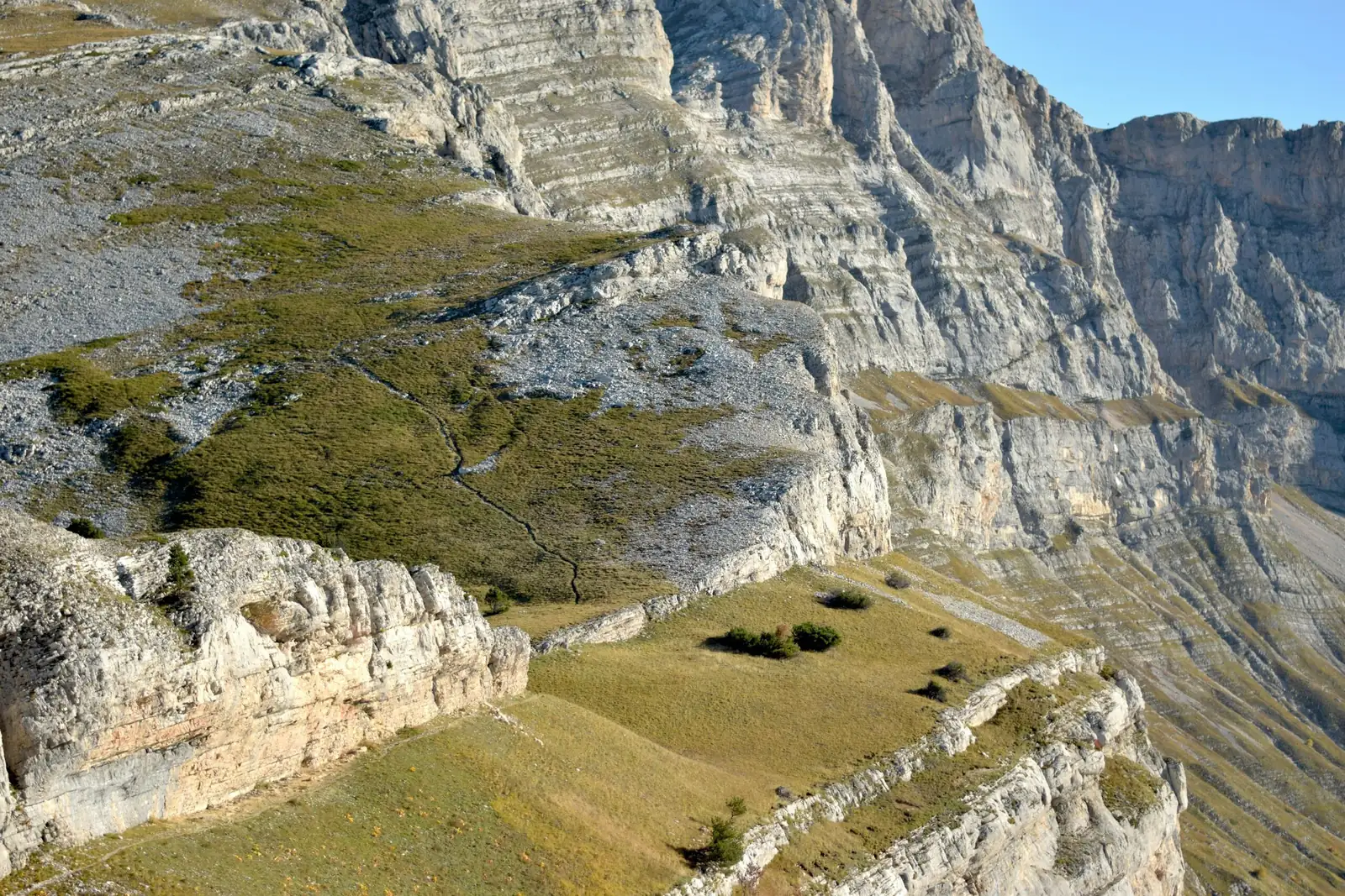 Crassula capitella rocky slope habitat