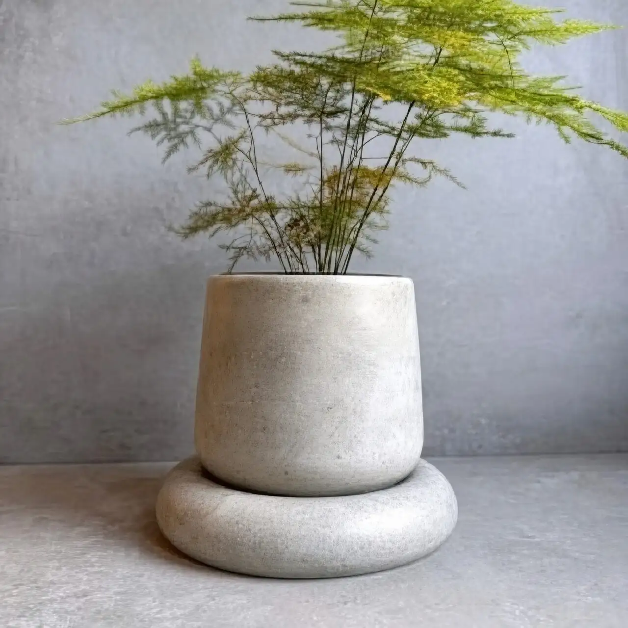 campfire crassula concrete pot gray gravel