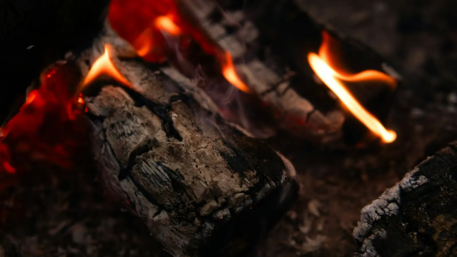 campfire crassula cam cycle diagram