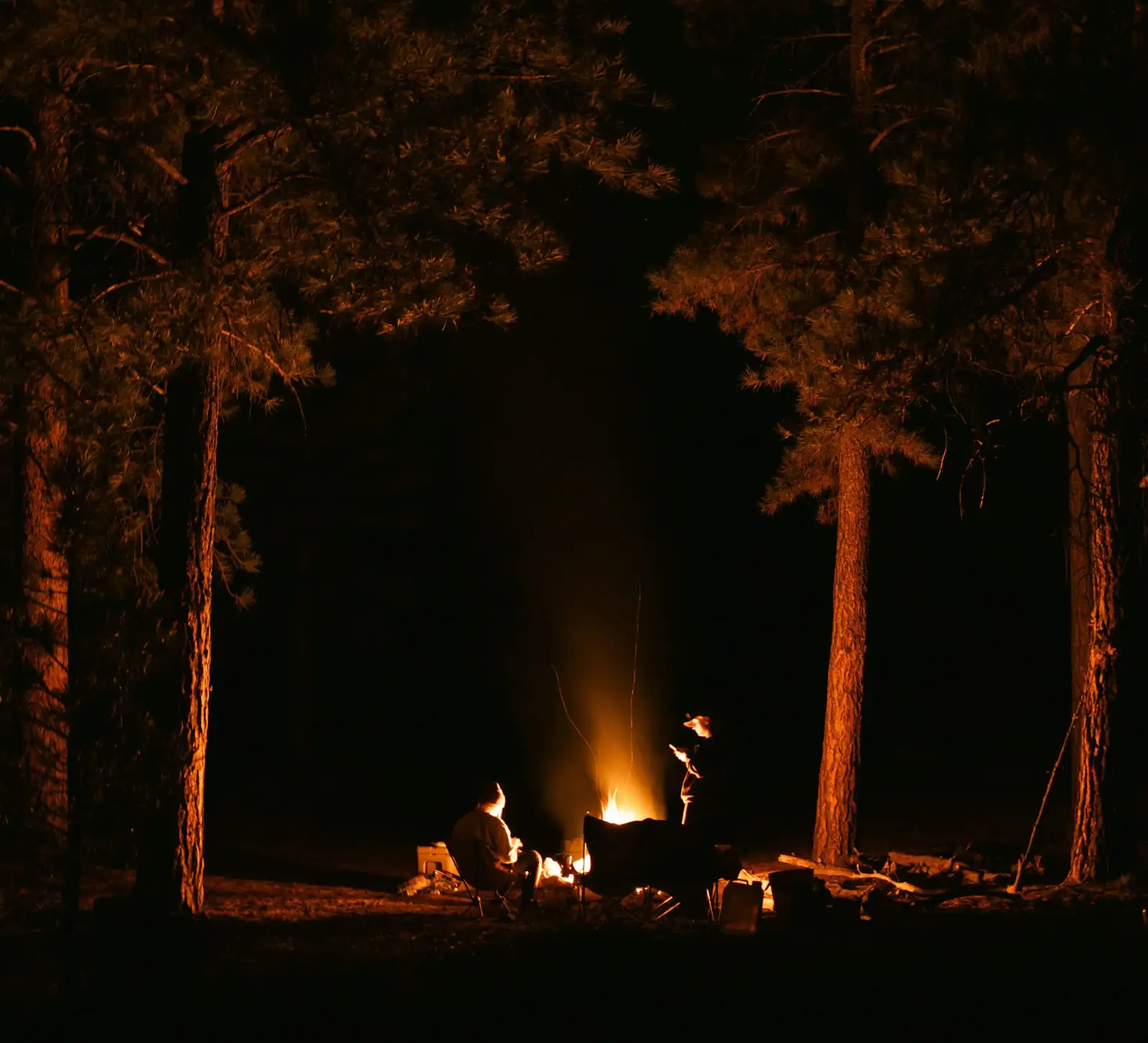 campfire crassula watering at night
