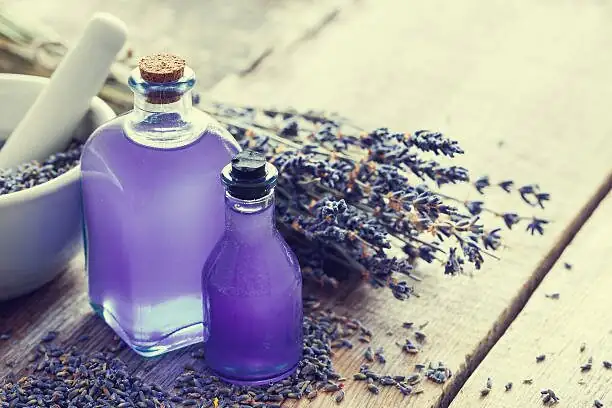 lavender cuttings in water jar